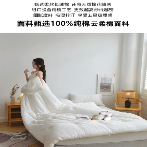 北極絨蠶絲被100%全棉被子被芯大豆維被棉被學生宿舍子母被二合一