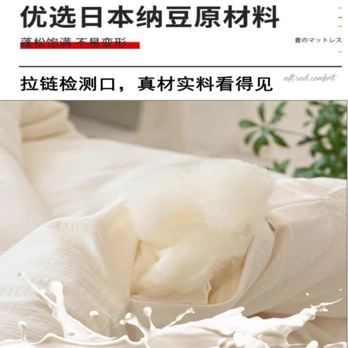 A類北極絨全棉被子被芯大豆維被純棉學生宿捨單人被子母被二合一