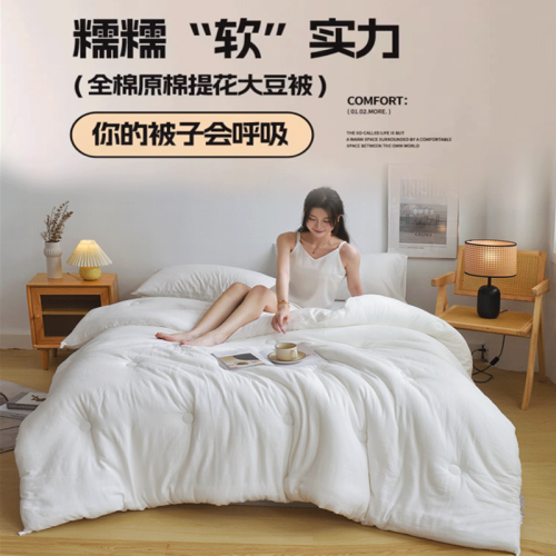 北極絨蠶絲被100%全棉被子被芯大豆維被棉被學生宿舍子母被二合一