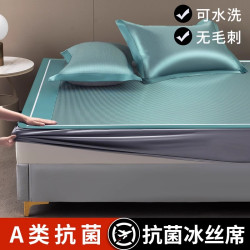 高檔夏季艾草冰絲涼蓆2025新款家用夏天a類母嬰級蓆子可機洗草蓆