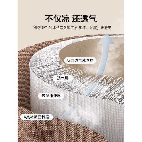 高級夏天冰絲涼蓆藤蓆2025新款夏季可水洗軟蓆子家用竹蓆冬夏兩用