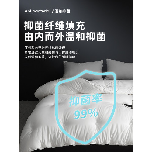 希爾頓A類德國抗菌纖維被子被芯五星級酒店冬被春秋被棉被褥加厚