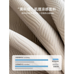 高級A類母嬰級冰絲涼蓆可機洗冰豆豆軟蓆漸變床裙款蓆子2025新款
