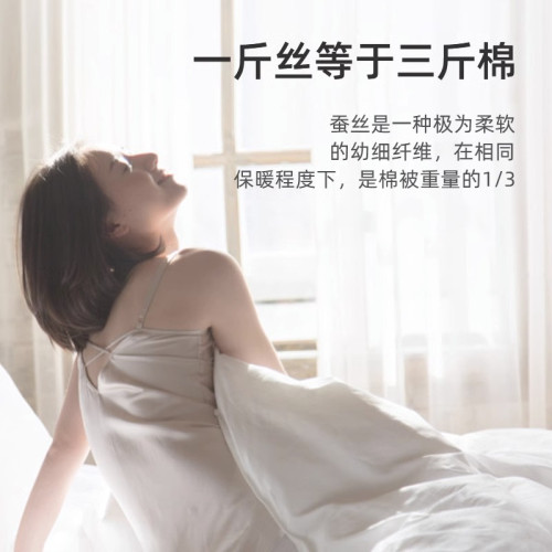 意大利zsvip高級蠶絲被子被芯四季通用子母被二合一春秋冬被冬天