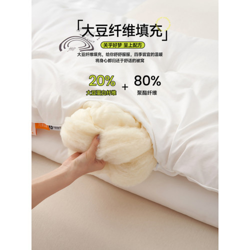 五星級酒店有氧大豆纖維被子被芯雙人冬被加厚四季通用春秋被薄款