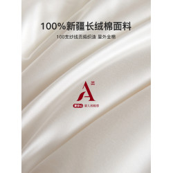 高級七星級酒店新疆棉花夏被春秋冬被子加厚學生宿舍單人純棉被芯