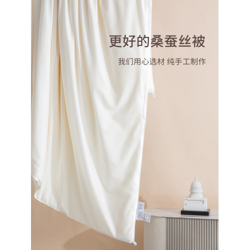 桐鄕手工蠶絲被100桑蠶絲冬被二合一子母被子春秋冬天結婚婚被芯