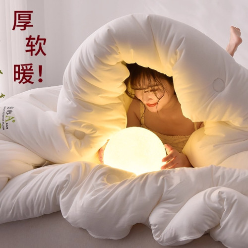 超柔軟春秋被A類冬季被芯加厚保暖棉被雙人學生宿舍被子2025新款