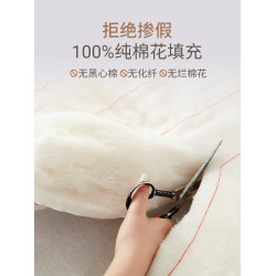 新疆一級長絨棉被芯棉花被子冬被棉絮床墊被褥子鋪底全棉冬天純棉