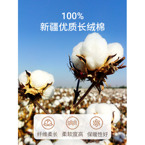 新疆一級長絨棉被芯棉花被子冬被棉絮床墊被褥子鋪底全棉冬天純棉