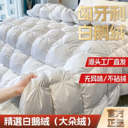 進口120支全棉99%白鵞絨純鵞絨被靜音純棉羽絨被結婚冬被被芯被子