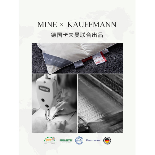 MINE/寐意大利進口羽絨被分區保暖白鵞絨被子四季通用被芯 威尼斯