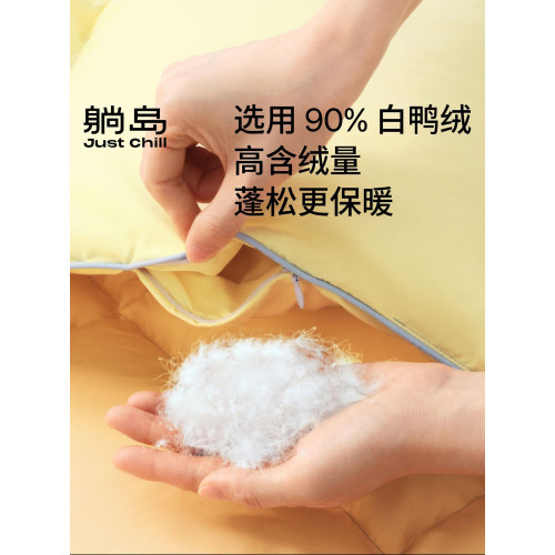 躺島陽光絨絨高效分區羽絨被芯保暖加厚雙人被子冬季春秋羽絨被