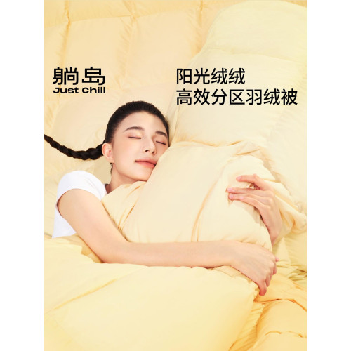 躺島陽光絨絨高效分區羽絨被芯保暖加厚雙人被子冬季春秋羽絨被