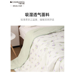 卡撒天嬌2025新款超柔絲棉被芯春秋被夏被柔軟親膚被子被芯單人