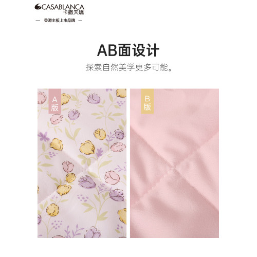卡撒天嬌2025新款超柔絲棉被芯春秋被夏被柔軟親膚被子被芯單人