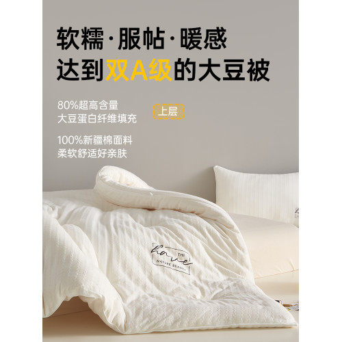 意大利zsvip五星級酒店冬季大豆纖維被子加厚保暖冬被春秋被芯