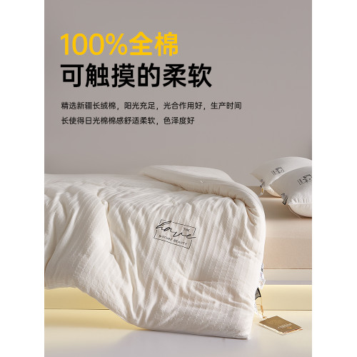 意大利zsvip五星級酒店冬季大豆纖維被子加厚保暖冬被春秋被芯