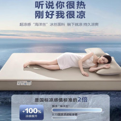 高級冰絲涼蓆2025新款家用a類母嬰級可機洗夏季冰豆豆床笠款軟蓆