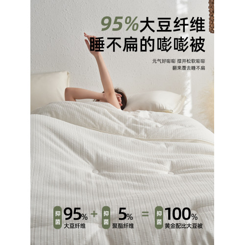 高級酒店95%大豆纖維被子冬被全棉a類被芯春秋被棉被冬天加厚保暖