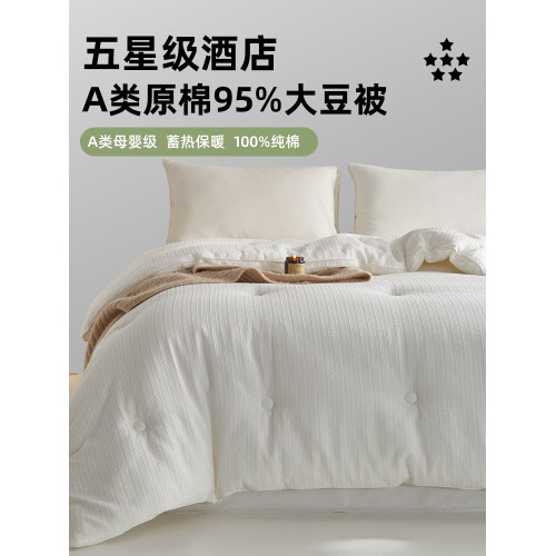 高級酒店95%大豆纖維被子冬被全棉a類被芯春秋被棉被冬天加厚保暖