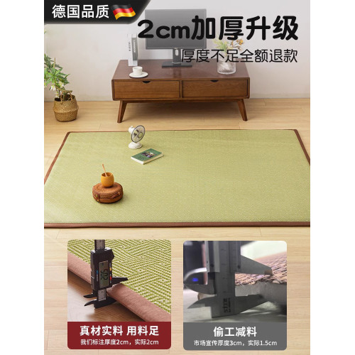 德國2025新款加厚防滑涼蓆榻榻米家用蓆子打地鋪神器學生竹蓆子
