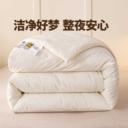 晚安家紡小銀皮抑菌冬被被子加厚保暖春秋被芯秋冬季棉被絮冬天