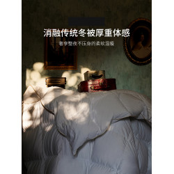 加拿大進口羽絨被95白鵞絨五星級酒店春秋被芯絨絲冬被子加厚保暖