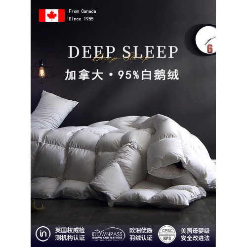 加拿大進口羽絨被95白鵞絨五星級酒店春秋被芯絨絲冬被子加厚保暖