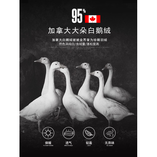 加拿大進口羽絨被95白鵞絨五星級酒店春秋被芯絨絲冬被子加厚保暖