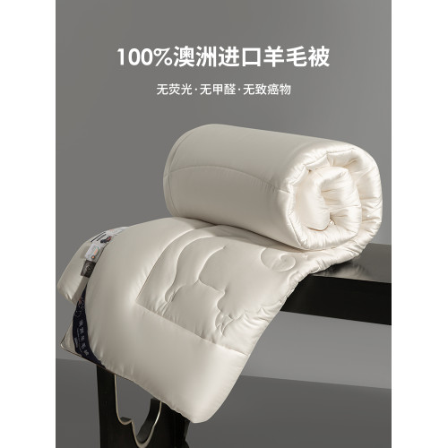 高級A類進口澳洲100%綿羊毛被子冬被加厚被芯春秋被保暖四季通用