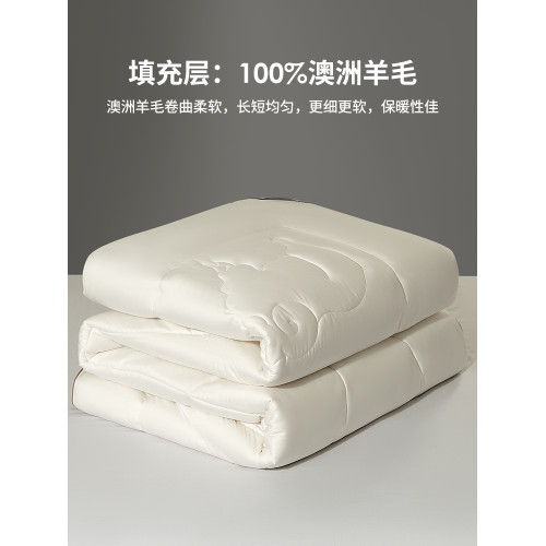 高級A類進口澳洲100%綿羊毛被子冬被加厚被芯春秋被保暖四季通用