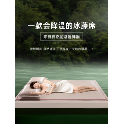 STEINMETZ冰絲涼蓆夏天2025新款藤蓆春夏季軟蓆子草蓆床笠款竹蓆