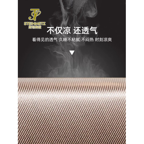 STEINMETZ冰絲涼蓆夏天2025新款藤蓆春夏季軟蓆子草蓆床笠款竹蓆