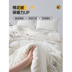 高級A類新疆棉花被子學生宿舍單雙人冬被保暖加厚春秋被四季通用