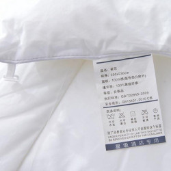 五星級酒店被子冬被全棉被芯冬季加厚保暖家用春秋被純棉四季被