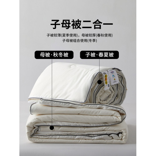 五星級酒店A類桑蠶絲被子冬被大豆纖維棉被芯春秋被冬天加厚保暖
