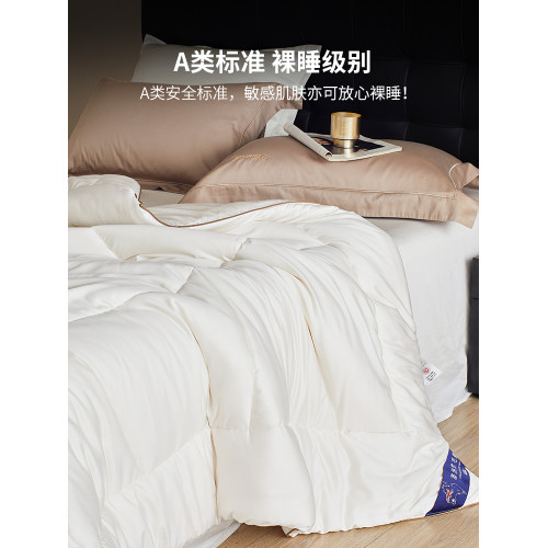高級A類進口澳洲羊毛被子被芯加厚保暖冬被春秋被棉被四季通用被