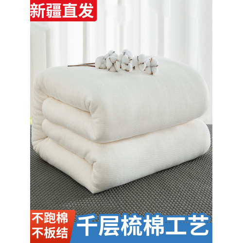 【新疆好物節】憶戀萊新疆棉花被加厚保暖純棉被芯被子冬被棉絮