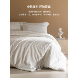 高級7A抗菌55%大豆纖維二合一子母被全棉提花被褥芯四季通用被子