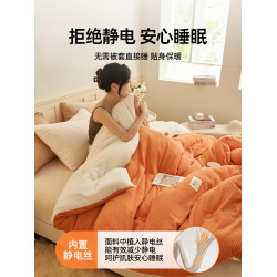 雙面牛奶絨被子冬被加厚保暖10斤棉被冬季加絨毛毯冬天羊羔絨被芯