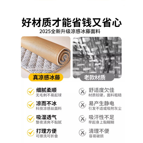 德國冬夏兩用涼蓆2025新款家用藤蓆子a類母嬰級學生宿捨單人床墊