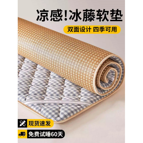 德國冬夏兩用涼蓆2025新款家用藤蓆子a類母嬰級學生宿捨單人床墊