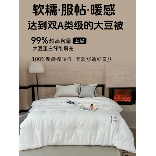 A類全棉99%大豆被冬天加厚保暖冬被四季通用春秋被被子被芯暖氣被