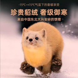 貂絨蠶絲無痕保暖背心男士加厚秋冬季內穿打底衫德絨髮熱坎肩上衣