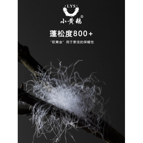 小黃鵞白鴨絨羽絨被高級大朵絨春秋被芯保暖髮熱冬被錦柔面料被子