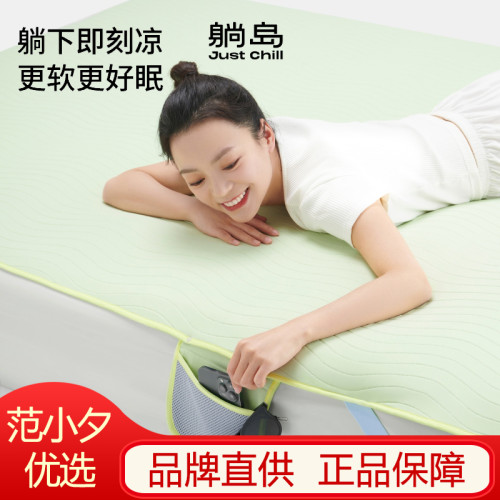 躺島瓜瓜涼蓆即刻涼感2025新款夏季軟涼蓆A類蓆子可機洗冰絲蓆子
