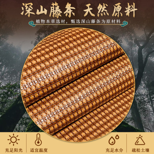 藤蓆涼蓆夏天新款冰絲蓆子夏季宿舍家用草蓆雙面可折曡天然騰蓆子