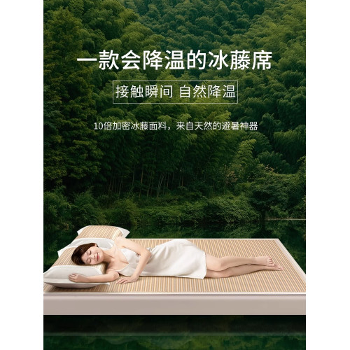 夏天冰絲涼蓆2025新款家用藤蓆竹蓆床笠款蓆子a類母嬰級軟蓆夏季