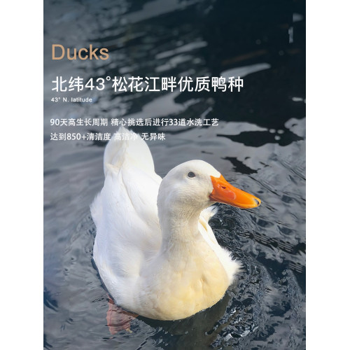 霞珍羽絨被白鴨絨冬被被芯春秋被五星級酒店90白鴨絨冬季加厚被子